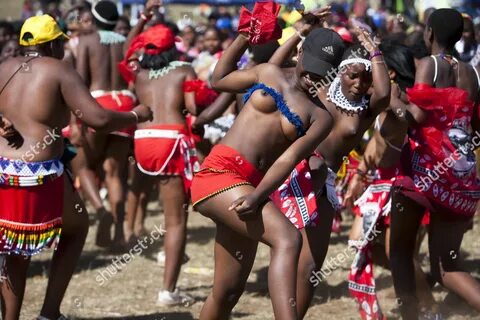 Zulu Maidens perform annual Reed Dance Natal Redaktionellt s