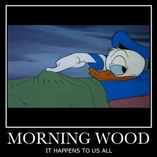 Morning wood Jokes