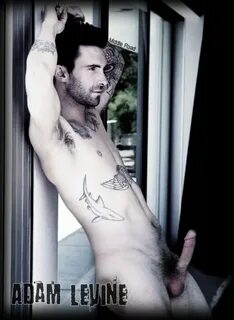 Adam Levine COCK PIC LEAKED - Naked Male celebrities