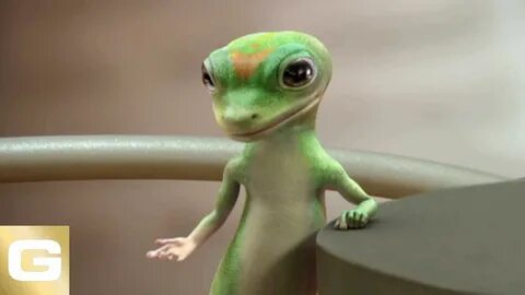 Why, why must you be a dissapointment Tv ads, Gecko, Intervi