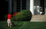 Lawn-mower Go Brrr Trump Yelling at Lawn-mowing Boy Know You