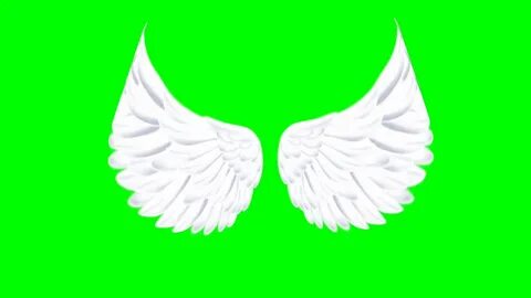 Green Screen Footage -Angel Wings Flapping Effect. - YouTube