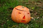 Free photo: Halloween - Eve, Holiday, Pumpkin - Free Downloa