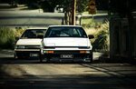 Levin and Trueno brothers.