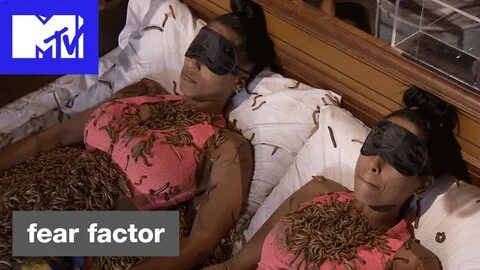 Sisters vs. Bugs' Official Sneak Peek Fear Factor Hosted by 