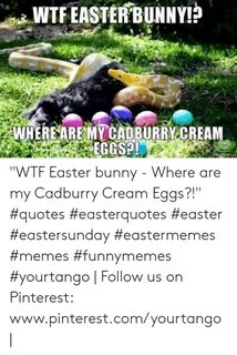 WTFEASTERBUNNYlh WHEREAREMYCAUBURRY CREAM WTF Easter Bunny -