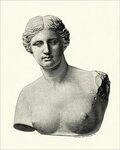 Print of Aphrodite of Milos, Venus de Milo Ancient greek scu