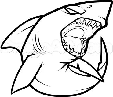 How to Draw a Cool Shark, Step by Step, Sea animals, Animals