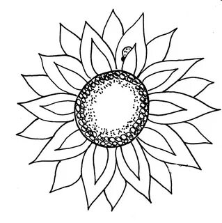 Download High Quality sunflower clipart outline Transparent 