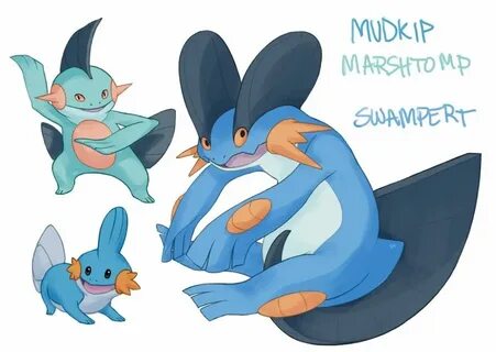 Mudkip evolutions, mudkip will be always be my favorite ❤ Mu