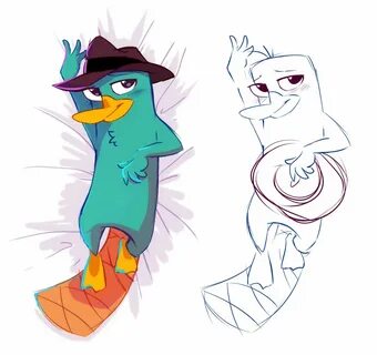 #perrytheplatypus hashtag on the instagram tiktok - stories,