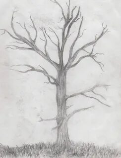 How To Draw A Realistic Dead Tree - How To Draw