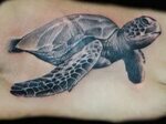 Tattoos Of Sea Turtles - Best Images Hight Quality