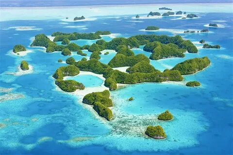 Остров Палау (63 фото)