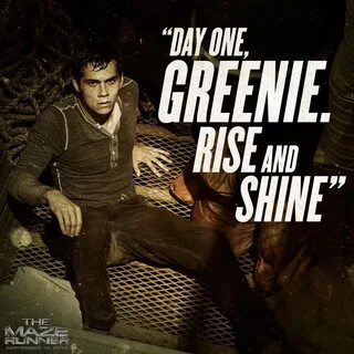 Thomas From Maze Runner Quotes. QuotesGram