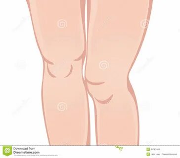 Knees illustration Clipart Panda - Free Clipart Images