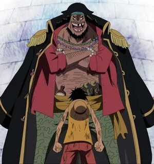 My Top 10 Favourite Blackbeard Pirates Members One Piece Ami