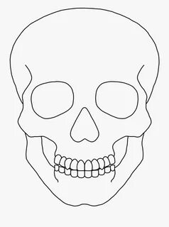 Skeleton Clipart Plain - Simple Human Skull Drawing is a fre