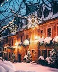 Winter vibes #christmas #xmas #winter Зимняя страна чудес, З