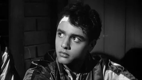 Picture of Sal Mineo