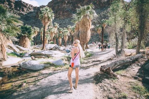 Palm Canyon Trail - Amber Fillerup Clark