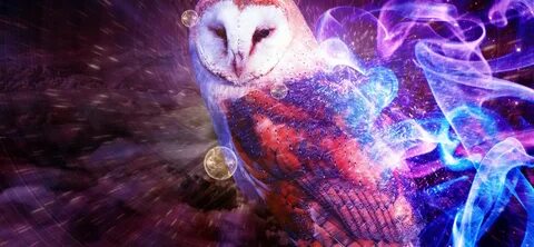 Free Cute Colorful Owl Wallpaper for Desktop and Mobiles iPh
