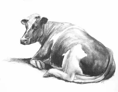 Sketches " Alexandra Klimas Farm animal paintings, Cow art, 