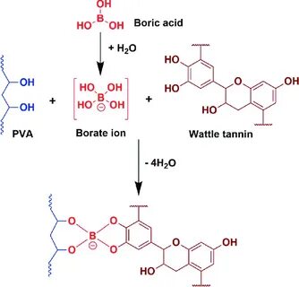 Possible reaction of tannin and PVA with boric acid. Downloa