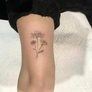 Tattooer 'Ok'🎗 on Instagram: "Aster, Chrysanthemum, Morning 