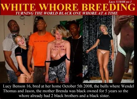 Bbc breeding party