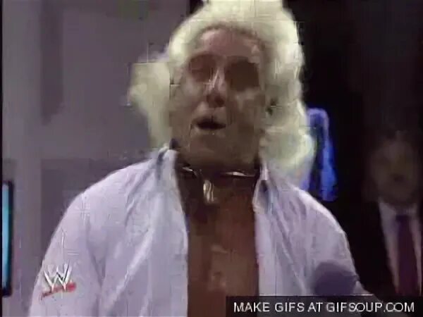 Funny Gifs : ric flair GIF - VSGIF.com