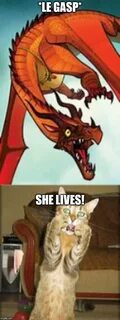 Image tagged in wings of fire,cats,memes - Imgflip