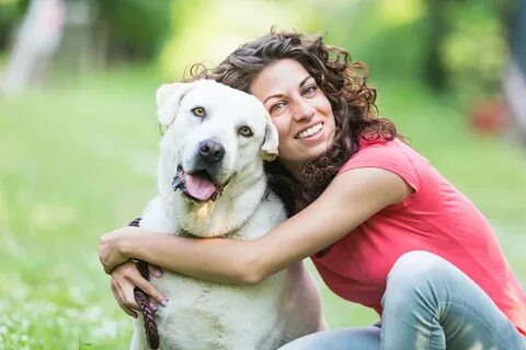 Therapy Dogs Needed In CNY
