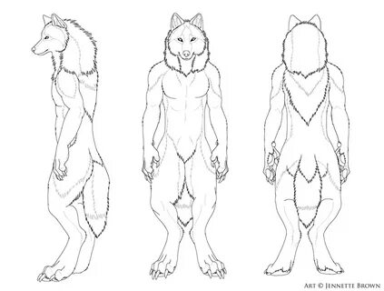 Free Werewolf Lineart Male by sugarpoultry Lobisomens, Perso