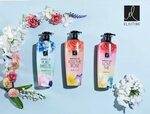 ELASTINE Pure Breeze Perfume Shampoo 600ml Shiny Hair Nutrit