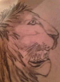Lion Head Profile 15 of the Worst Bad Tattoos Bad tattoos, T