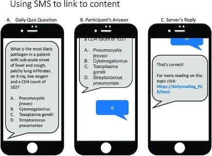 Example of a hypothetical daily short message service (SMS) 