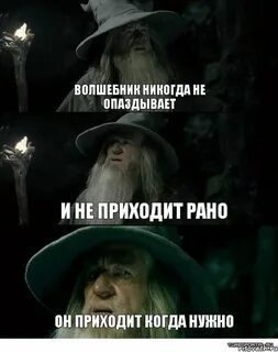 волшебник никогда не опаздывает и не приходит рано он приход