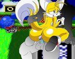 Sonic and Tails Series (Sonic The Hedgehog) Porn Comics