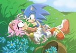Pin by Rian Obayed on couple jeux vidéos ( Sonic) Sonic hero