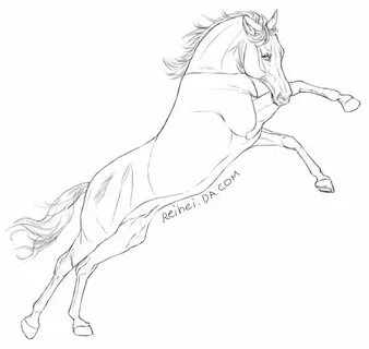 Horse lineart 0 images about horse line art how to on tack 5