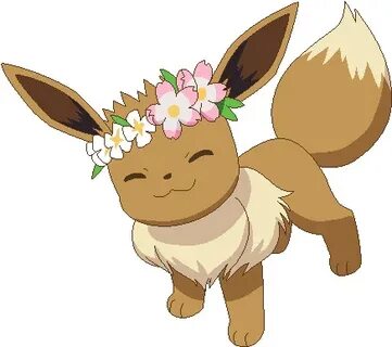 Pokemon Base Petition To Give Eevees Flower Crowns - Eevee W