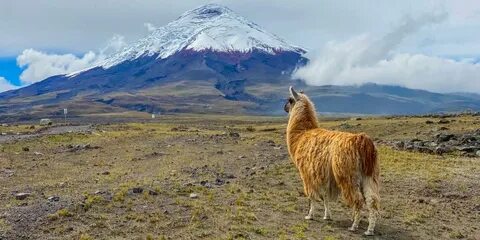 Ecuador - Energy Subsidy Reform In Ecuador - Ecuador lies in