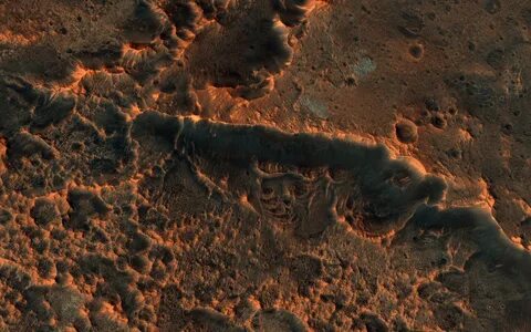 Claims Of Insects On Mars Are Harmful To Search For Life, Ex