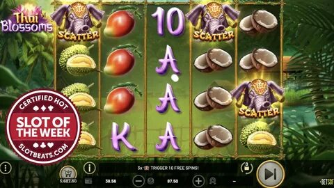 Betsoft takes SlotBeats' SOTW to a Thai paradise - CasinoBea