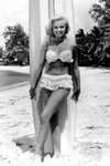 pretty Shelley Fabares Vintage bikini, Vintage swimwear, Vin