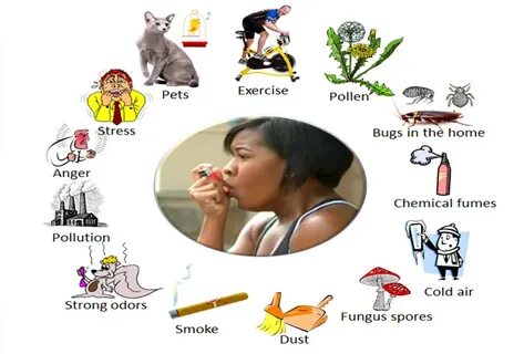 lumiannadesigns: Can Allergies Cause An Asthma Attack