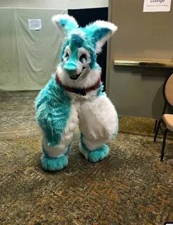 cursed furry