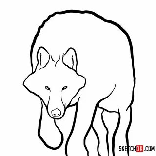 Arctic Wolf Sketch Drawing for Kids & Adult