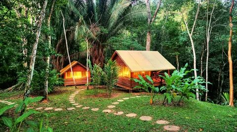 Belize Jungle Lodge Jungle Camp Belize Rainforest Retreat
